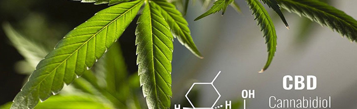 CBD